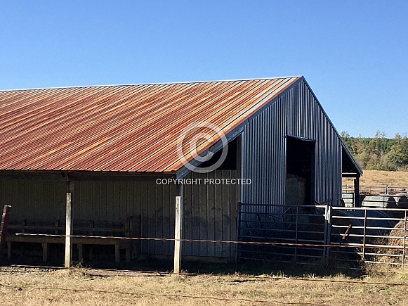 Barn in the Country