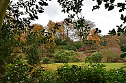 Field in Autumn