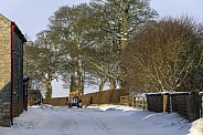 Country lane in winter