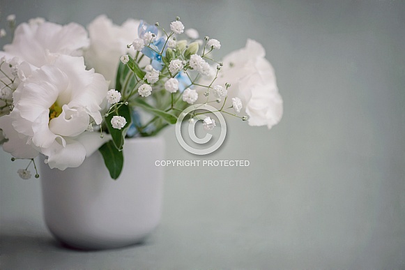 Delicate white flowers on grey