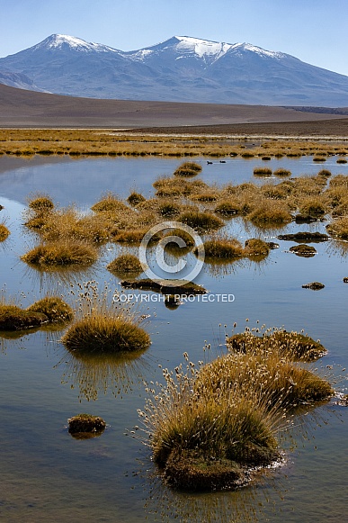 Atacama Desert Landscape - Chile