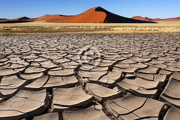 Sossusvlei in the Namib Desert - Namibia