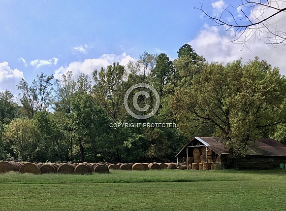 Bales of Hay and Green Pastures