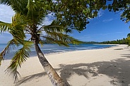 Fiji - South Pacific