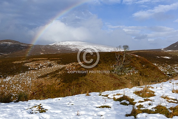 Rainbow - Scottish Highlands