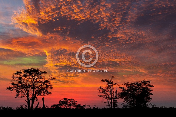 African sunset - Botswana