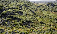 Moss covered Lava - Iceland