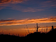 Beautiful Arizona at Sunset