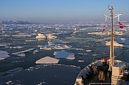 Sea ice of the coast of eastern Greenland