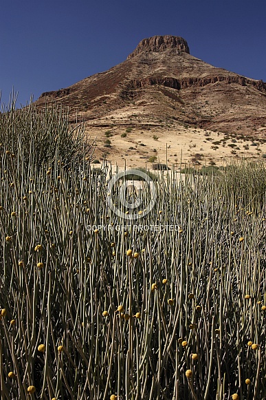 Desert landscape of Damaraland - Namibia