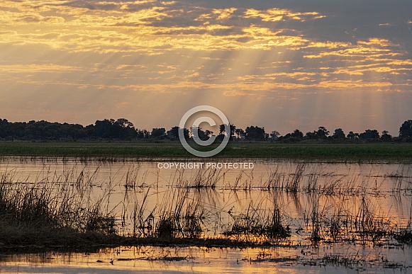 Sun rays over the Chobe River - Botswana