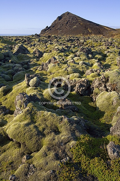 Volcanic landscape - Iceland