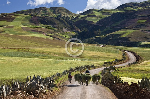 Countryside - Peru - South America
