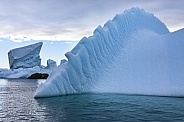 Icebergs - Melchior islands - Antarctica