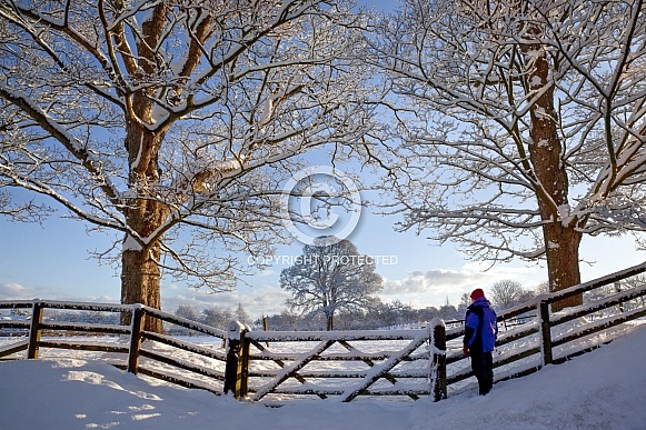 Farmland and Winter snow