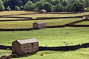 Traditional dry-stone walls and stone barns - Yorkshire Dales - England