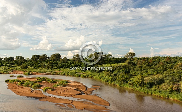 Wild Africa - River and Bush