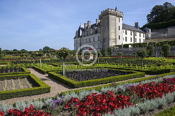 Formal gardens of Chateau Villandry