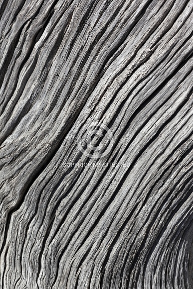 Background - Natural Texture