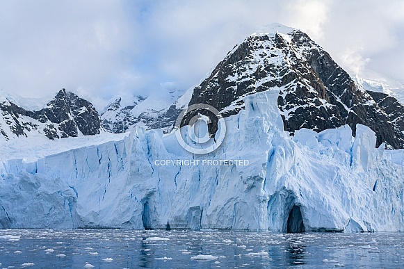 Suarez Glacier - Antarctica