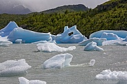 Icebergs floating on Lago Grey - Chile