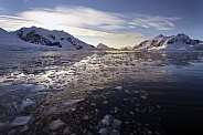 Melting sea ice - Petzval Bay - Antarctica