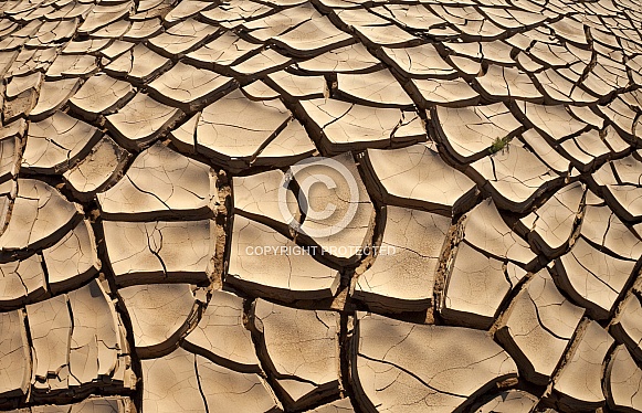 Drought - Africa