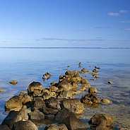 Calm sea - Aitutaki Lagoon - Cook Islands