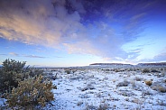 Winter Desert Landscape