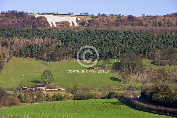 White Horse at Kilburn - Yorkshire - England