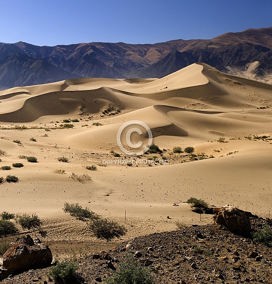 Sand dunes - Tibet