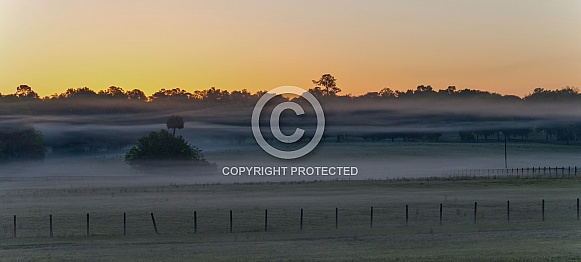 Low lying layers of wispy clouds and fog over a north Florida meadow