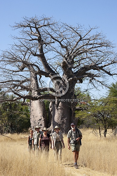 Adventure tourists on a walking safari - Namibia