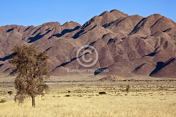 Desert landscape in Damaraland - Namibia