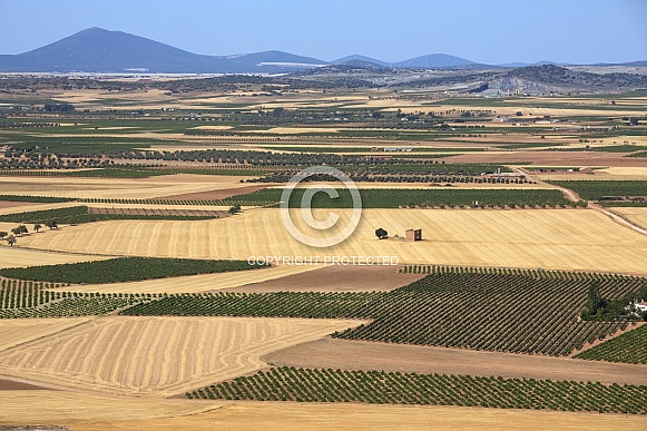 Landscape of vineyards and farmland - Spain